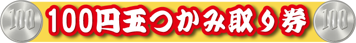 １００円玉つかみ取り券